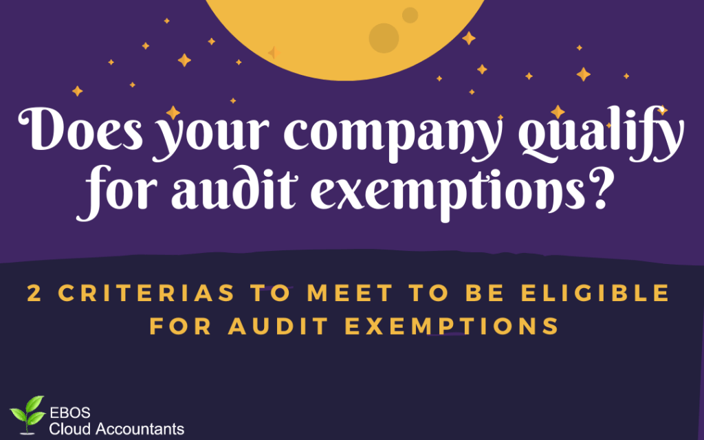 What Is Balance Sheet Total For Audit Exemption