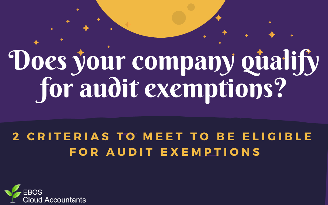 Does your company qualify for audit exemption? 