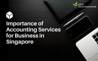 Importance of Accounting Services for Business in Singapore