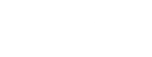 Intellinz Logo White