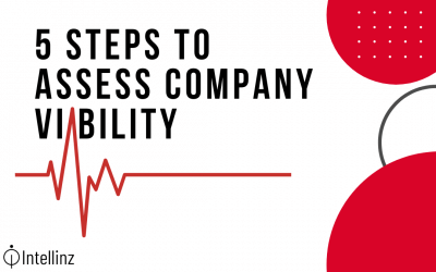 5 Steps to Assess Company Viability