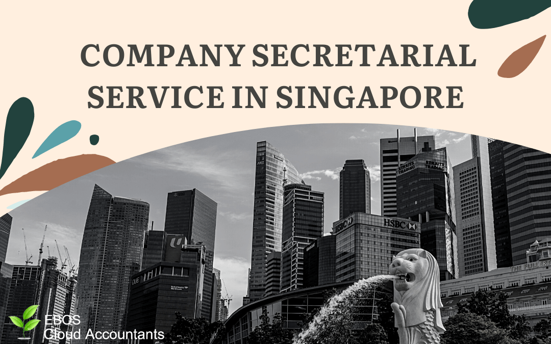 Company Secretarial Service In Singapore