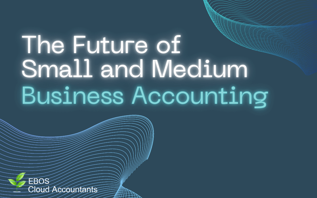 The Future of Small and Medium Business Accounting