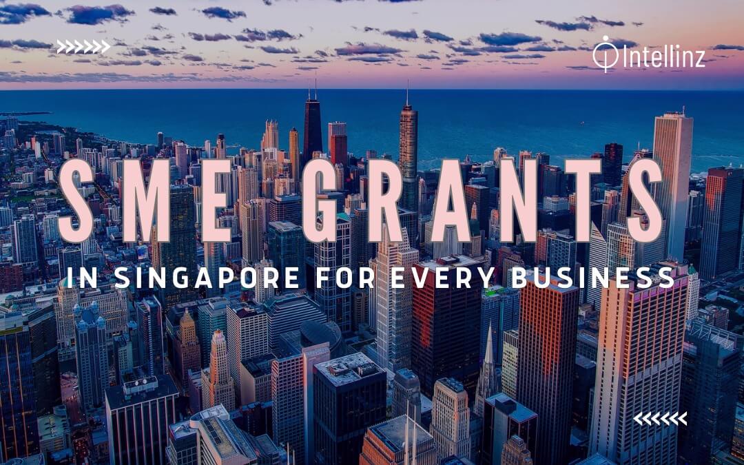 SME Grants in Singapore for Every Business