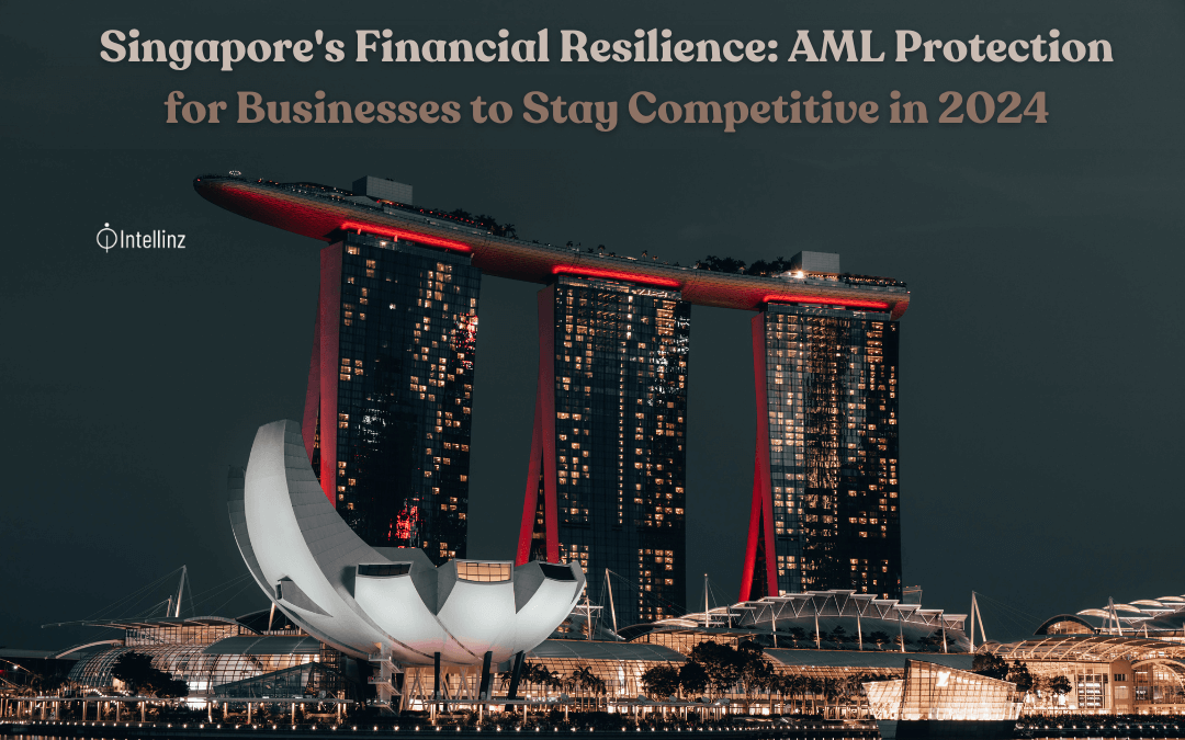 Singapore’s Financial Resilience: AML Protection for Businesses to Stay Competitive in 2024