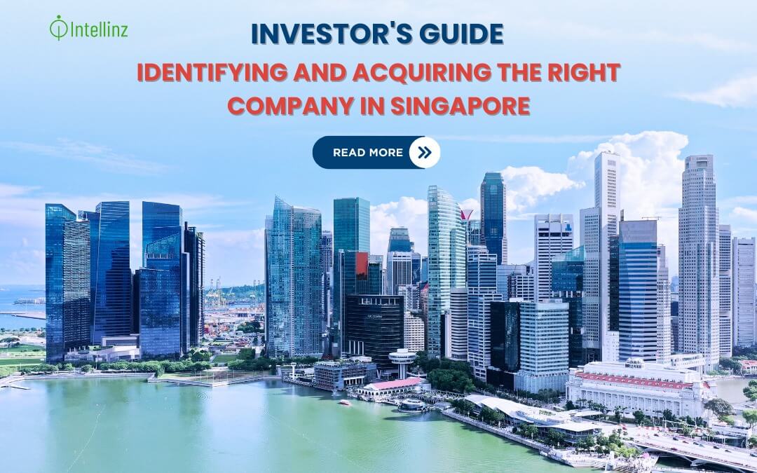 Investor’s Guide: Identifying and Acquiring the Right Company in Singapore